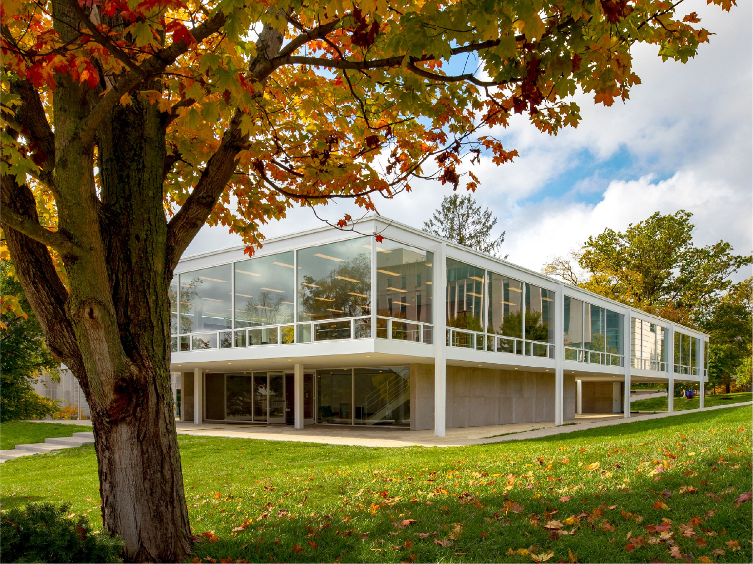 Mies van der Rohe