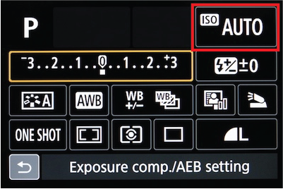 1. Forgetting to Turn Off Auto ISO